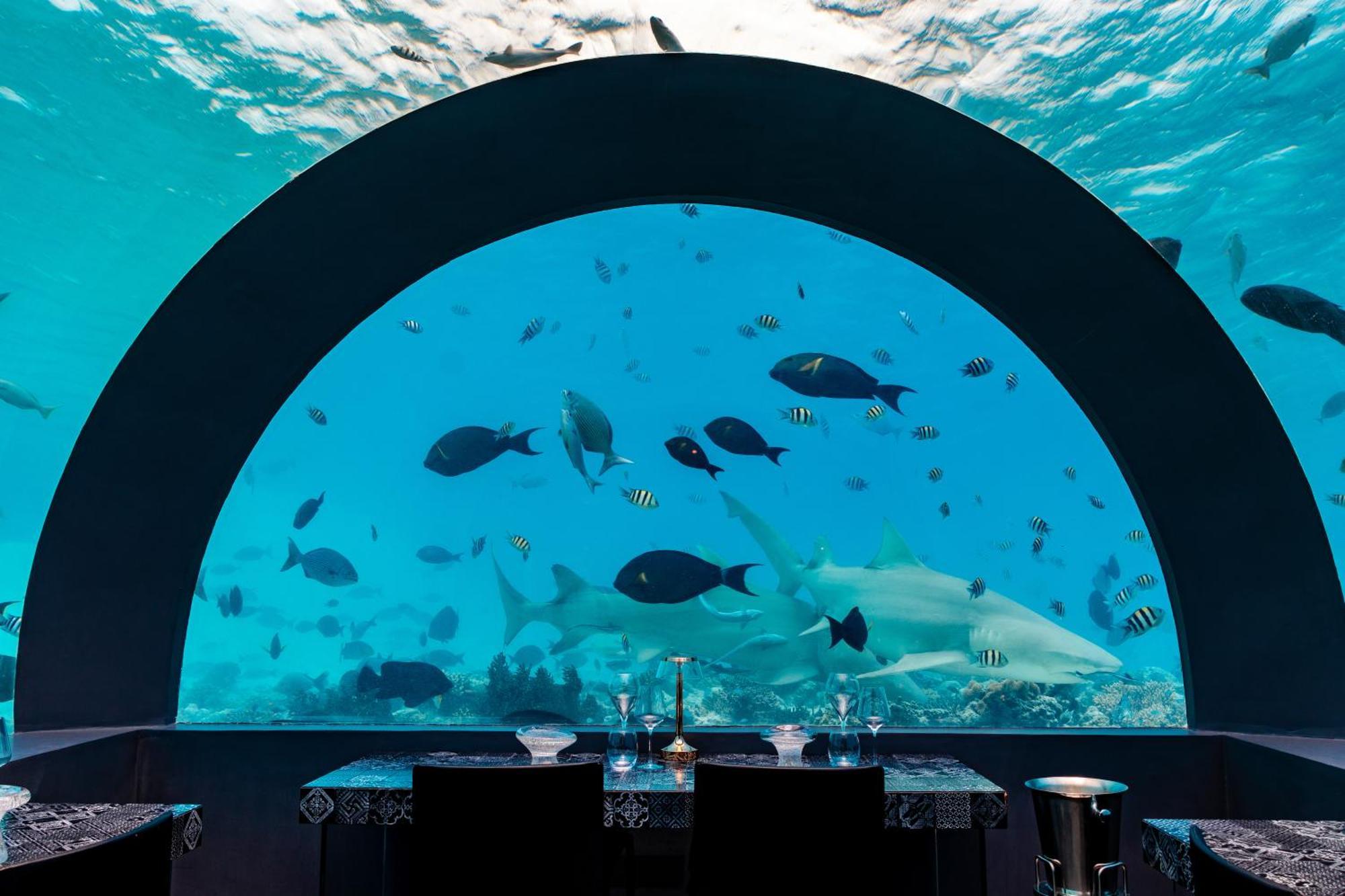 You & Me Maldives - Adults Only - Premium All-Inclusive Muravandhoo Eksteriør billede
